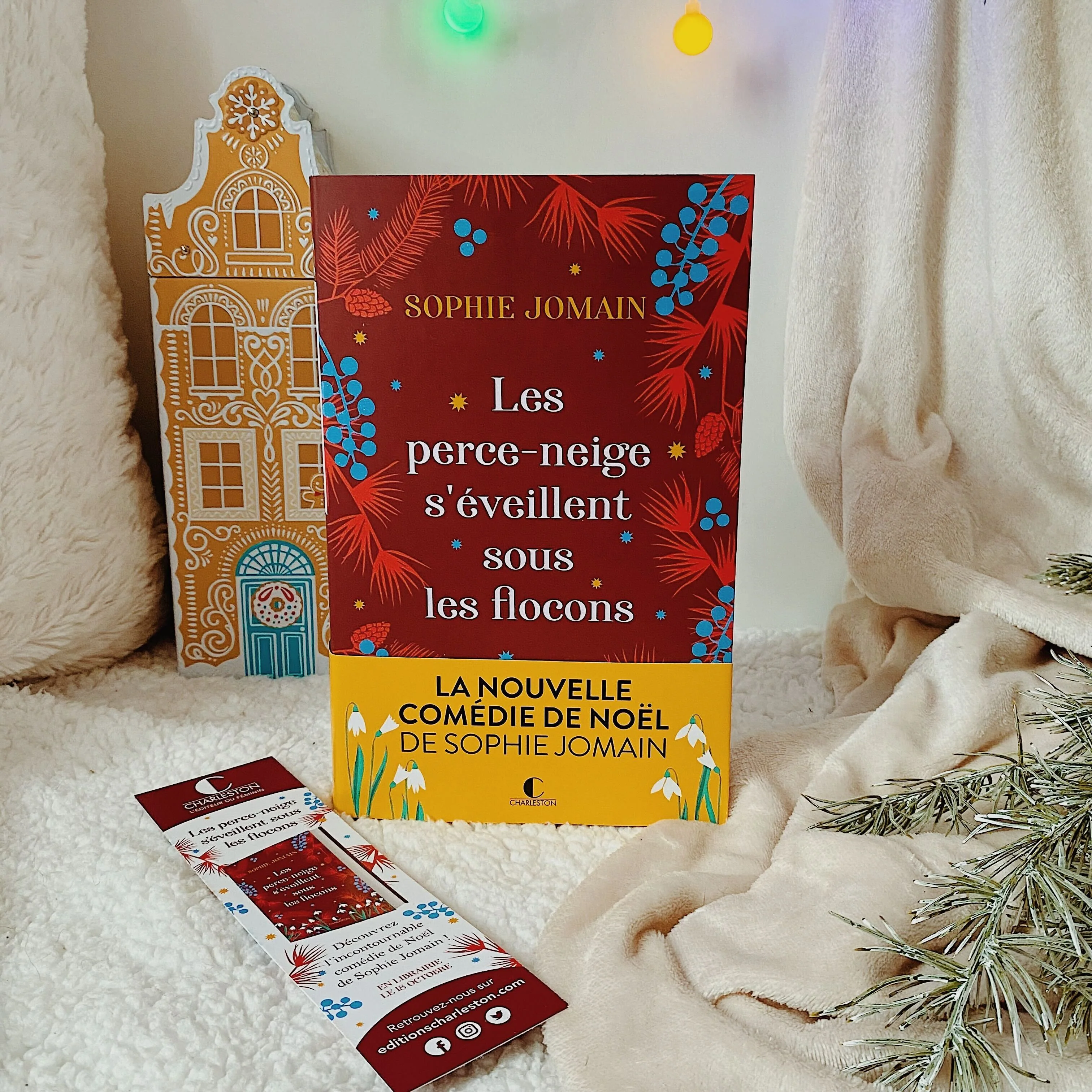 Image du produit 16