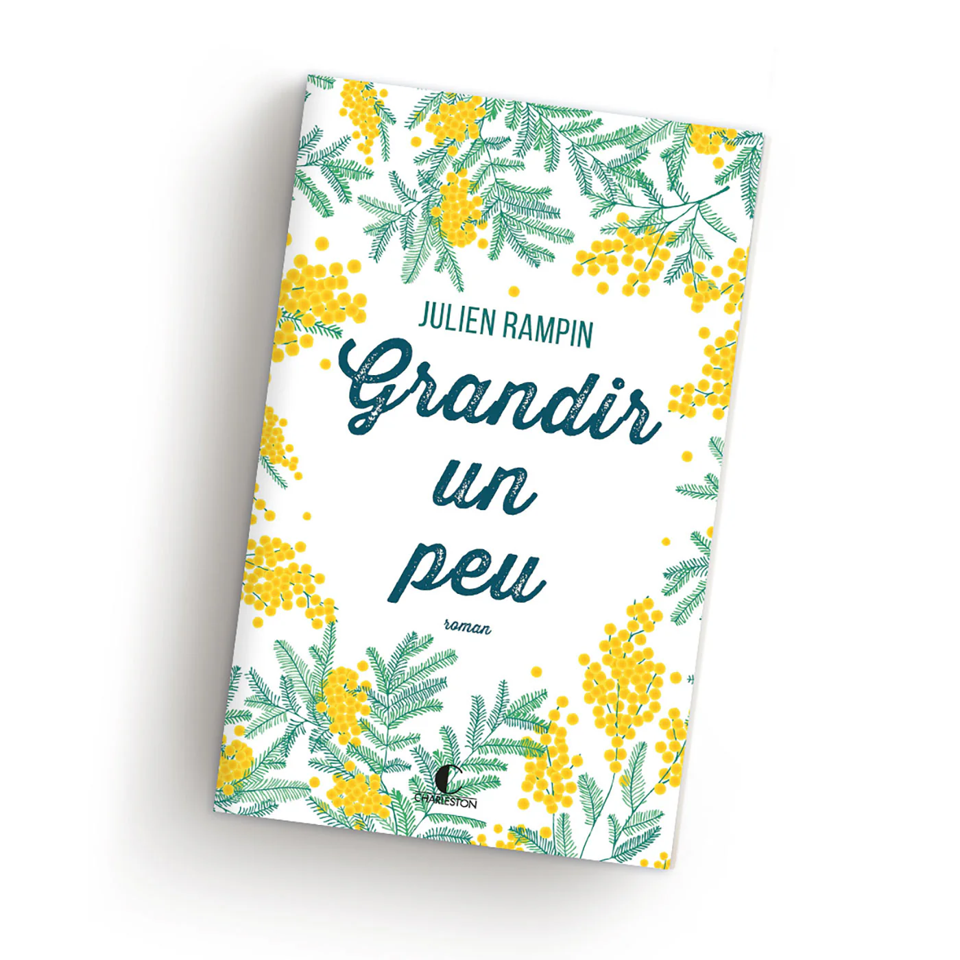 Image du produit 1