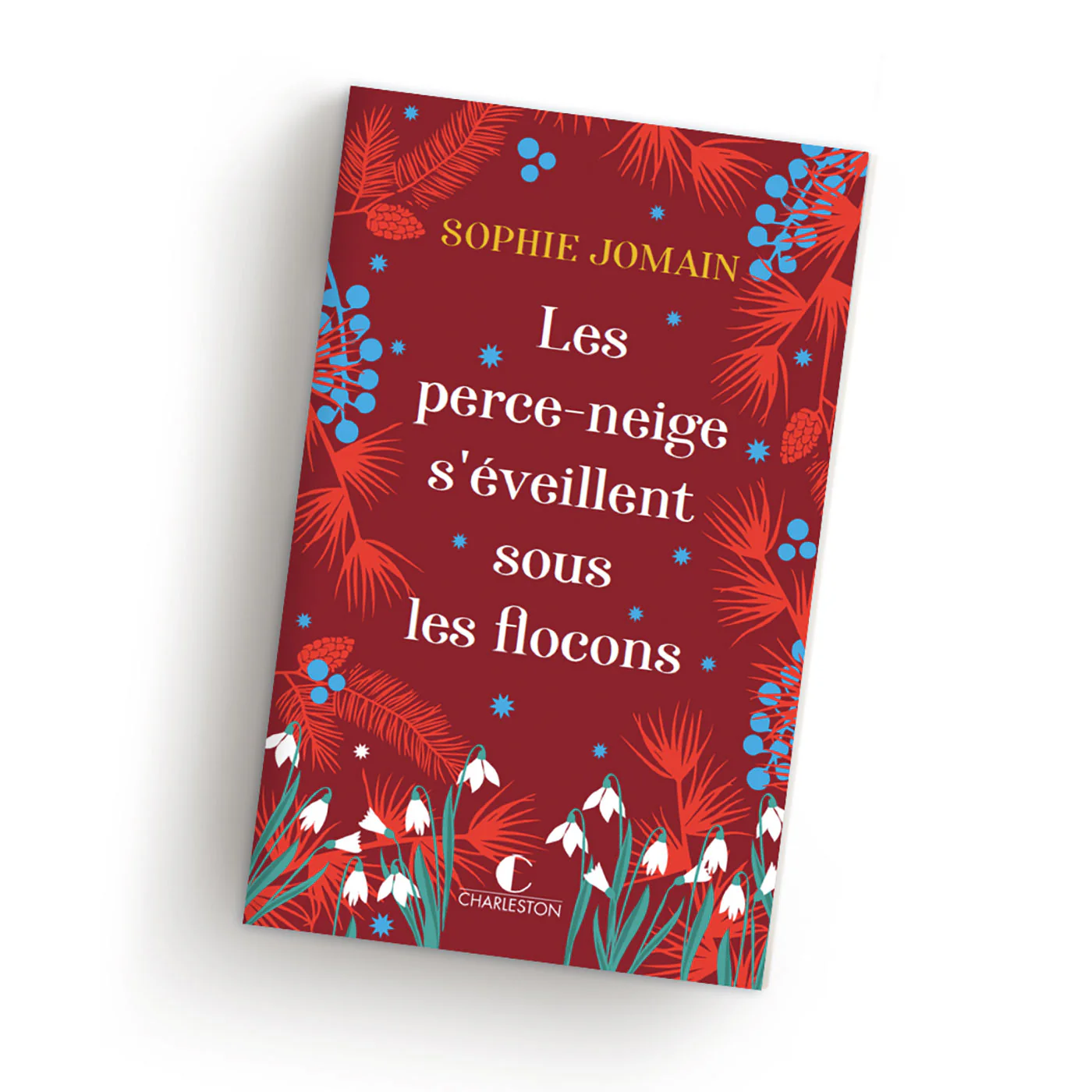 Image du produit 1